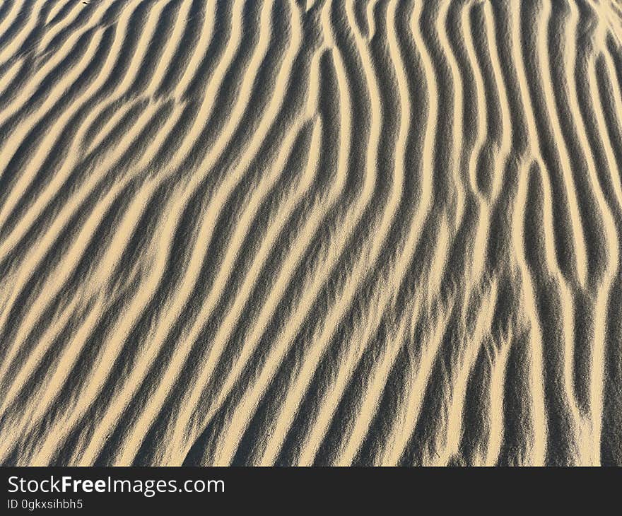 A desert landscape with sandy dunes. A desert landscape with sandy dunes.