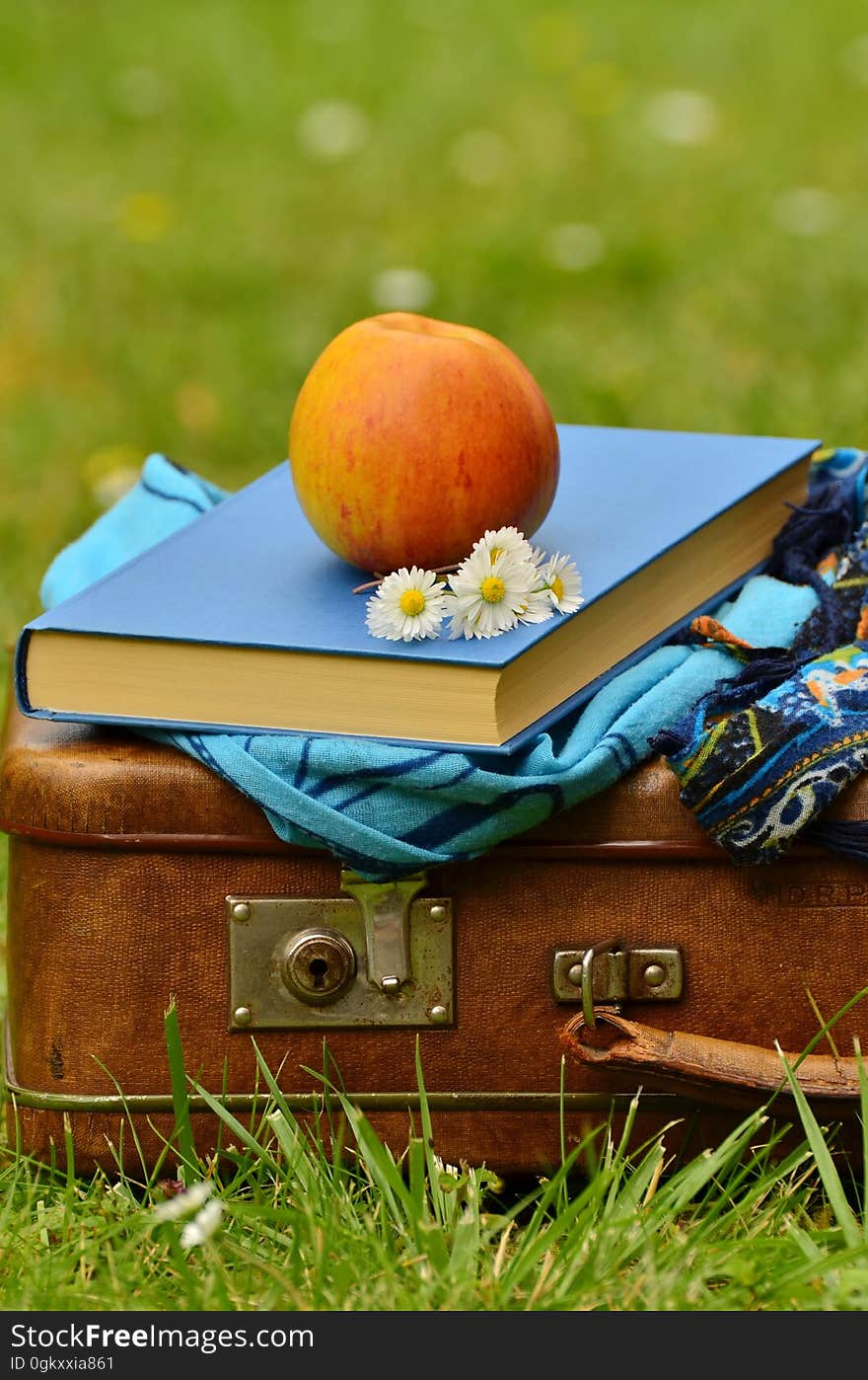 Old fashioned brown suitcase in a meadow with clothes, gray book and red apple on top together with daisies, blurred green background. Old fashioned brown suitcase in a meadow with clothes, gray book and red apple on top together with daisies, blurred green background.