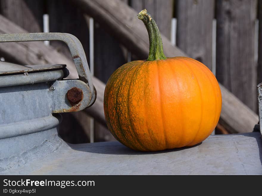 Whole ripe pumpkin with wooden fence in background.