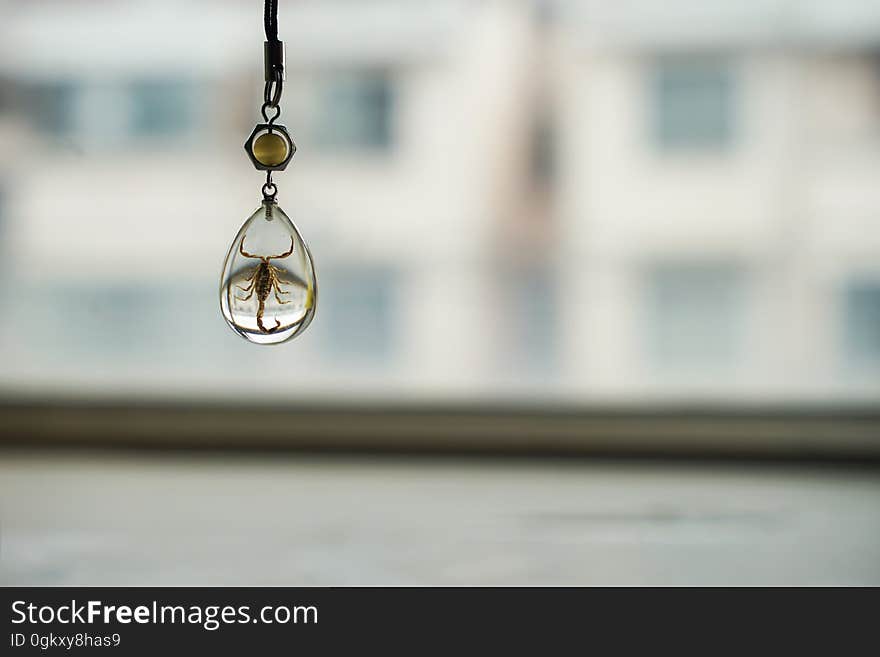 Transparent scorpion necklace chain hanging indoors with bright light background.