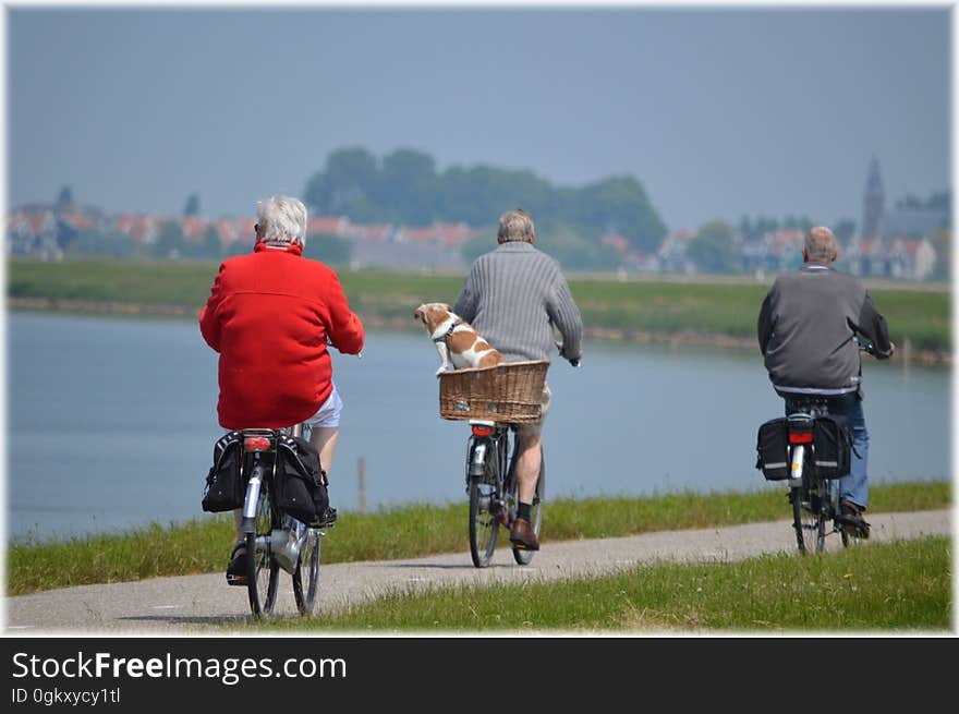 Rear view of three mature people cycling on track by lake with village in background. Rear view of three mature people cycling on track by lake with village in background.