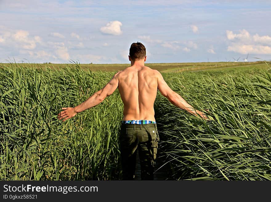 A young muscular man standing in a meadow touching the crops. A young muscular man standing in a meadow touching the crops.