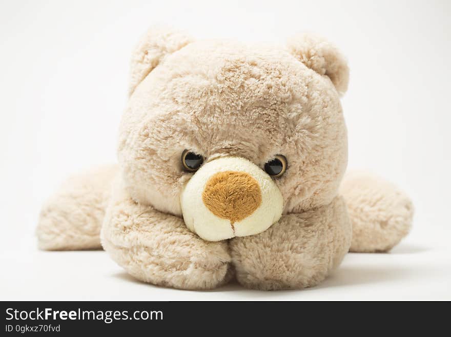 A close up of a teddy bear on a white background. A close up of a teddy bear on a white background.