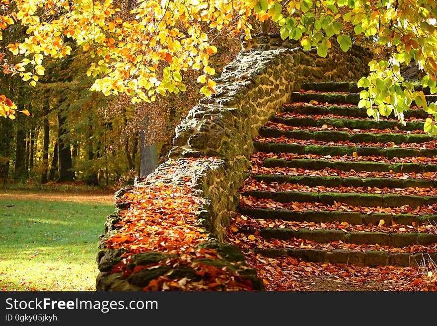 An old staircase with autumn leaves fallen from the trees. An old staircase with autumn leaves fallen from the trees.