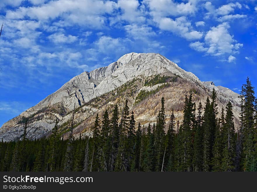 A rocky mountain peak and forest.