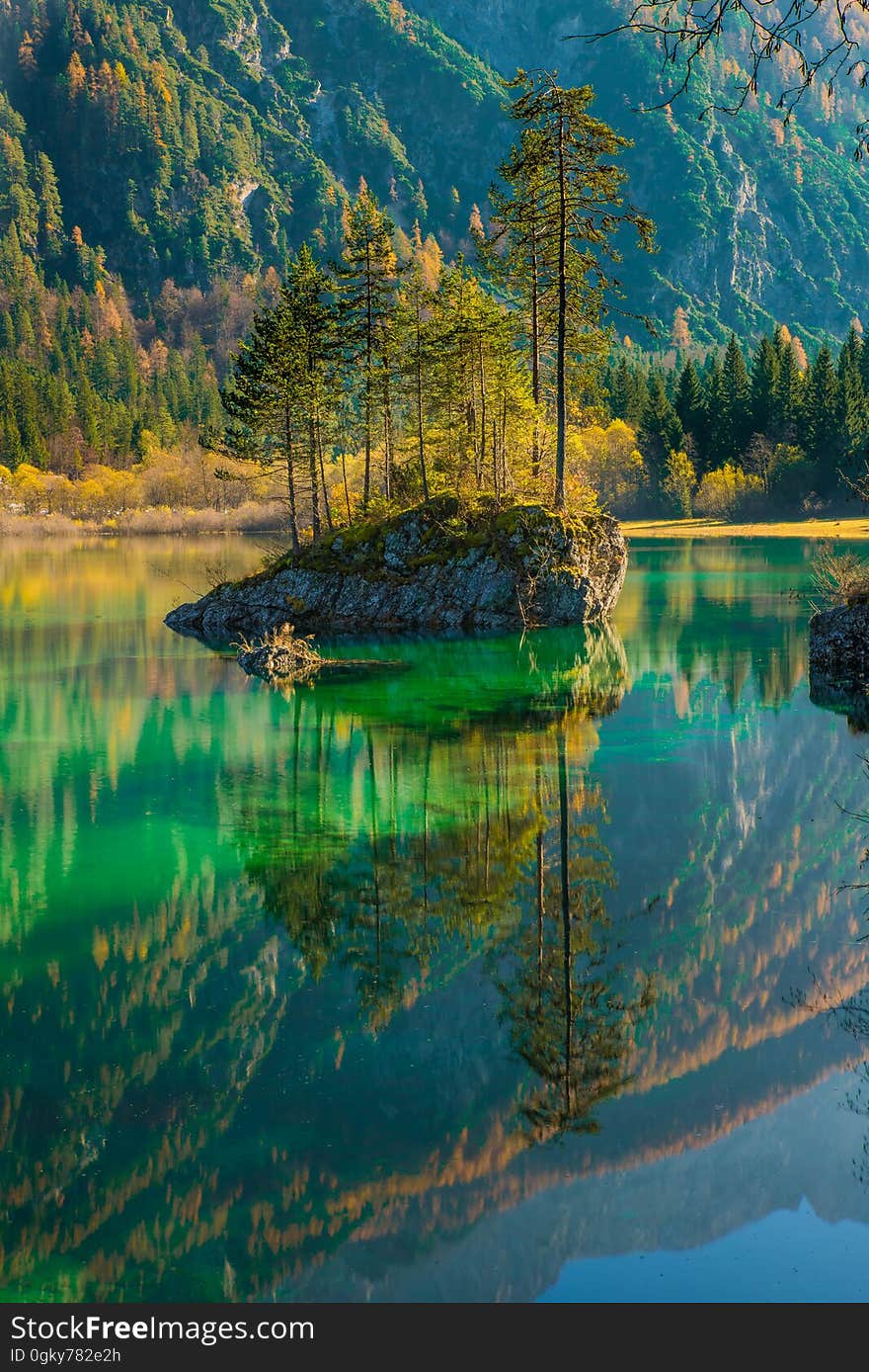 Scenic View of Lake in Forest