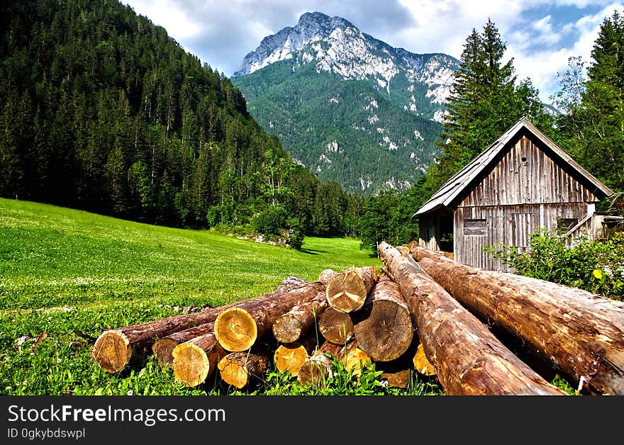 Lumber on a field near a mountain cabin. Lumber on a field near a mountain cabin.