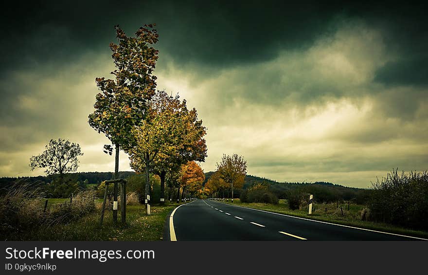 An empty countryside road at dusk.