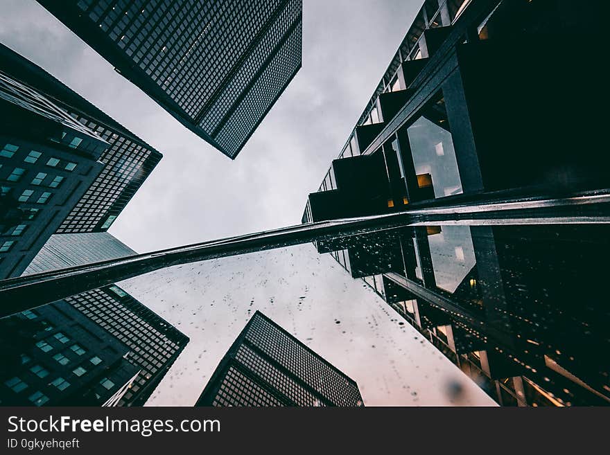 A low angle view of a city with skyscrapers. A low angle view of a city with skyscrapers.