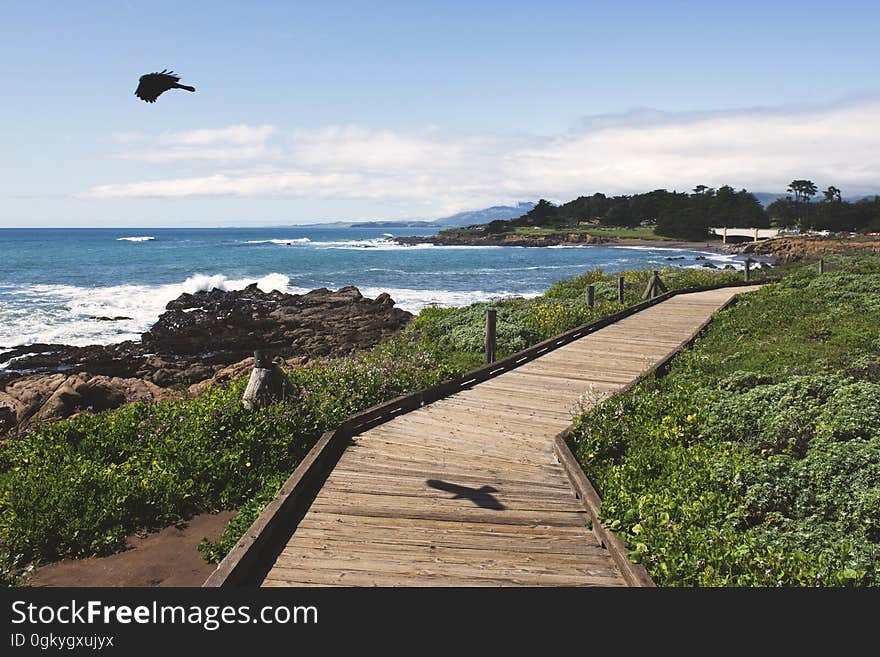 A boardwalk on a beach in a bay. A boardwalk on a beach in a bay.