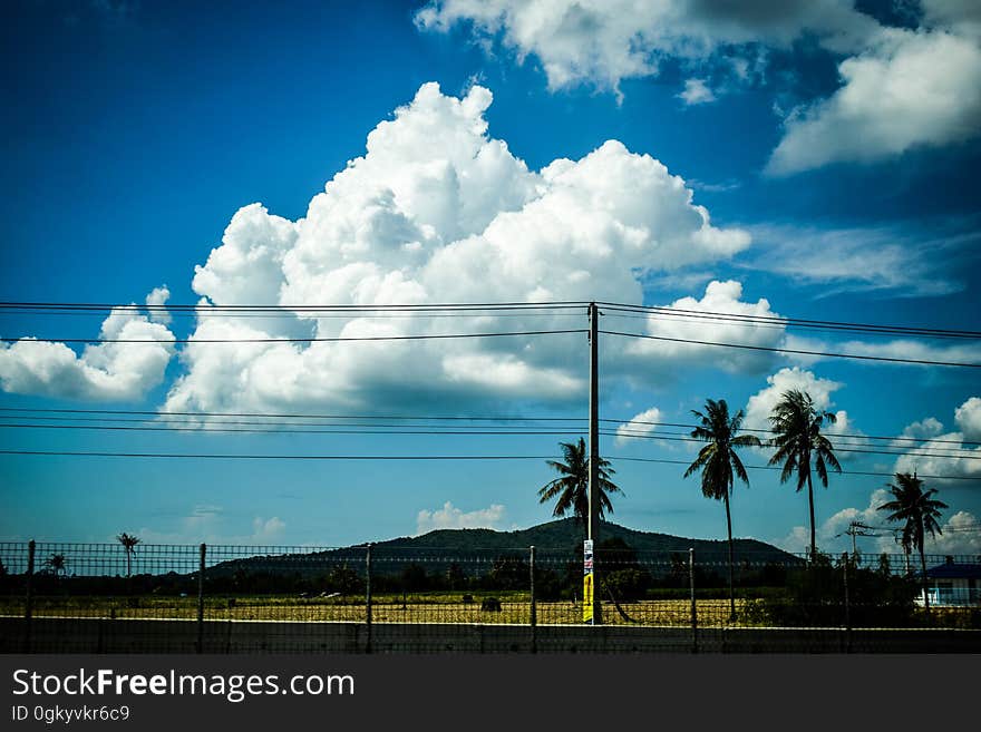 White clouds in blue sky over poser lines along roadway with palm trees. White clouds in blue sky over poser lines along roadway with palm trees.