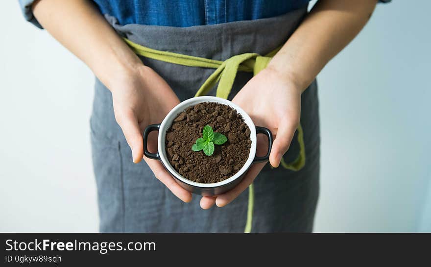 Hands holding small white pot with seedling in dirt. Hands holding small white pot with seedling in dirt.