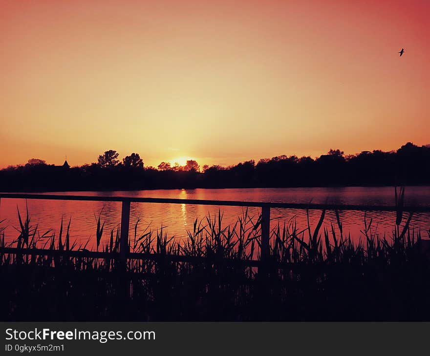 silhouettes frame a riverbank at dusk. silhouettes frame a riverbank at dusk.