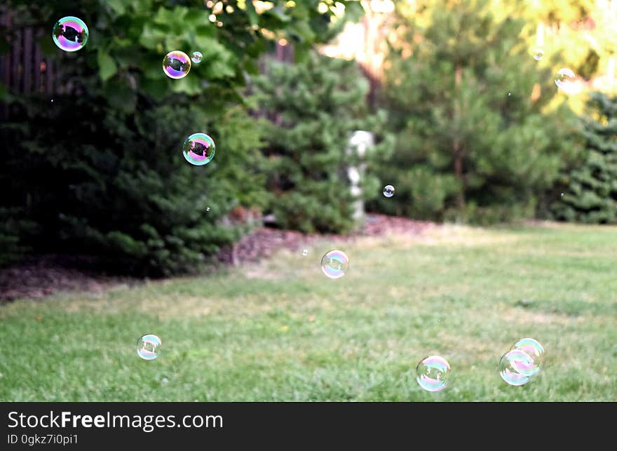 Soap bubbles floating over green grass in sunny back yard. Soap bubbles floating over green grass in sunny back yard.