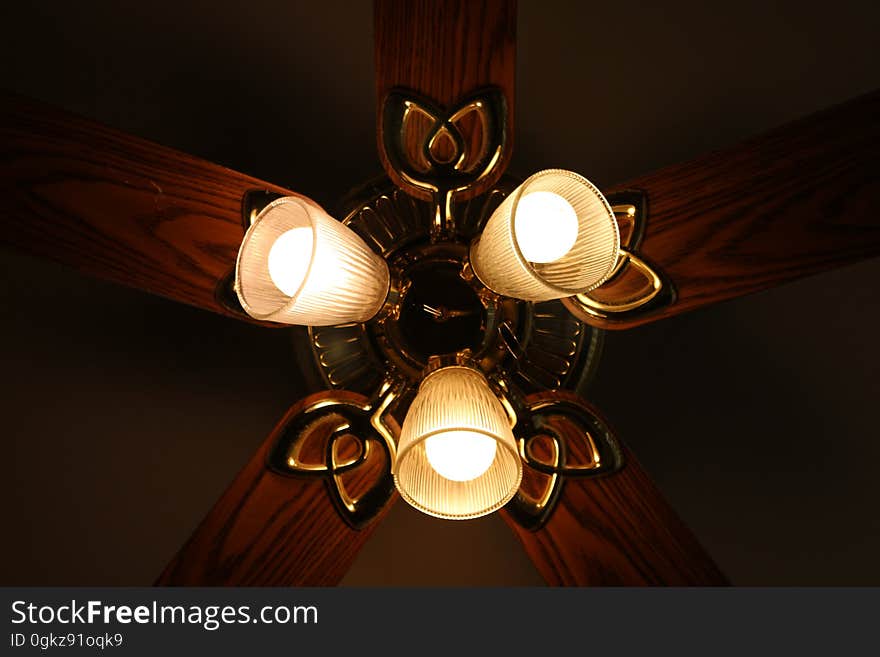 Illuminated bulbs in lighting fixture and ceiling fan indoors. Illuminated bulbs in lighting fixture and ceiling fan indoors.