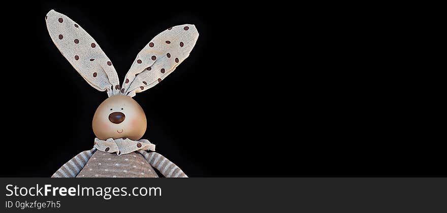 Close Up, Wing, Stock Photography, Moths And Butterflies