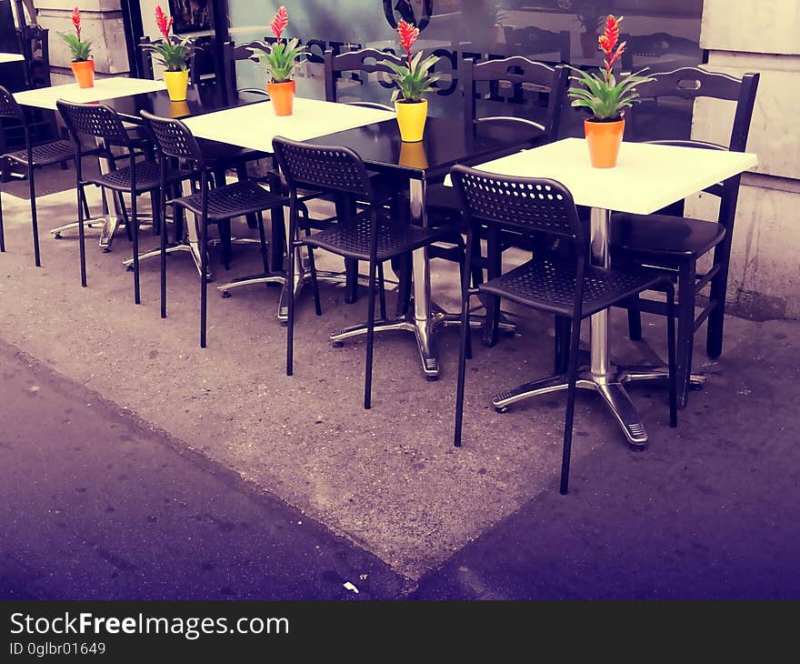 Flowers in pots on tables outside cafe on sunny day. Flowers in pots on tables outside cafe on sunny day.