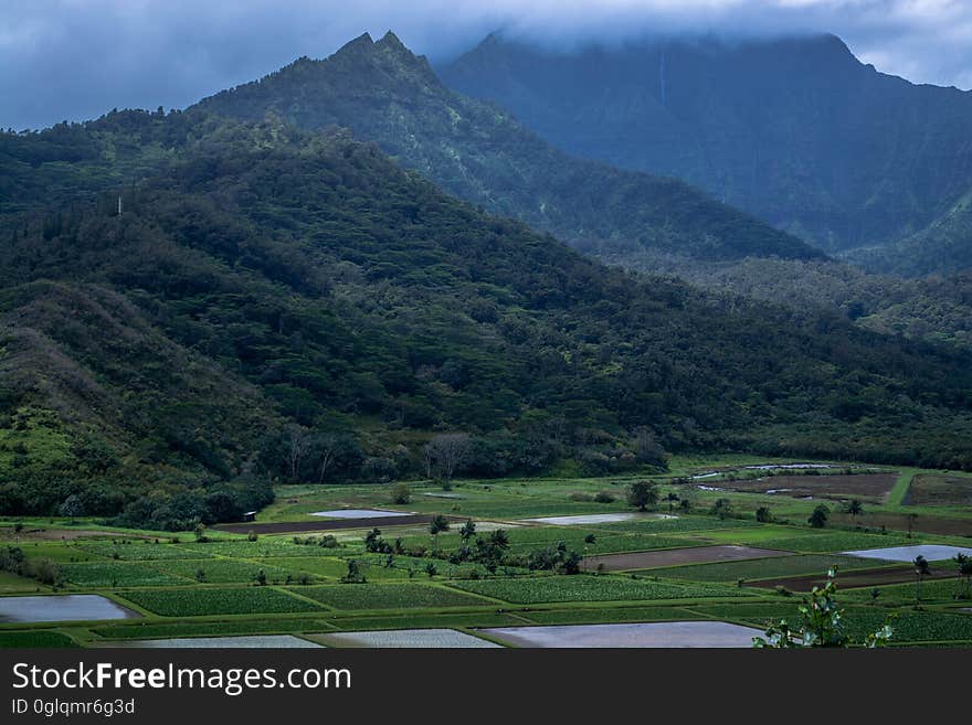 Mist over mountain range with green agricultural fields. Mist over mountain range with green agricultural fields.