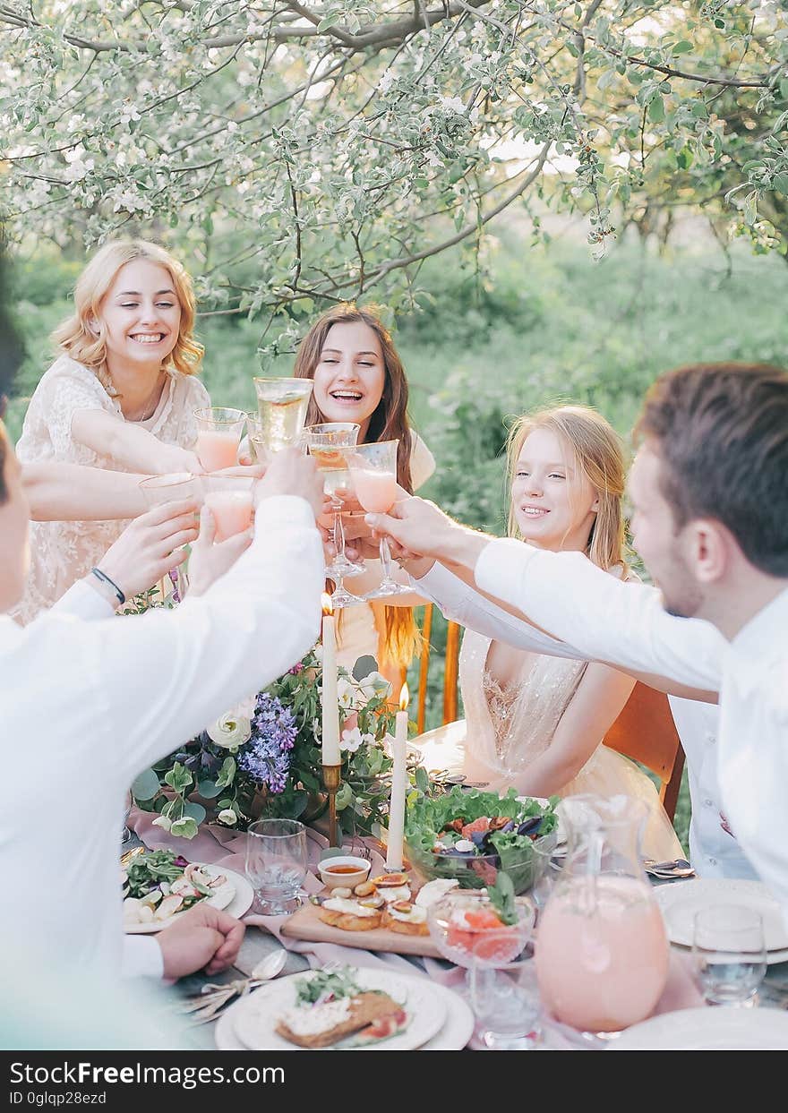 Friends toasting over laden table at formal outdoor picnic on sunny day. Friends toasting over laden table at formal outdoor picnic on sunny day.