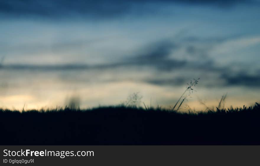 A sunset sky with silhouettes of grasses in the foreground. A sunset sky with silhouettes of grasses in the foreground.