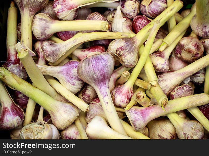 A lot of young garlic in one place