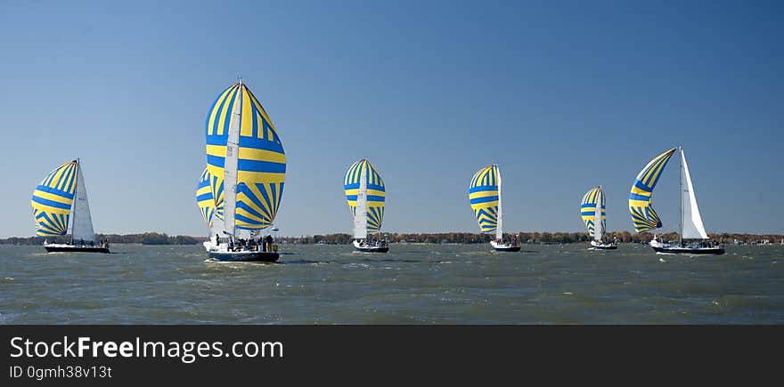 Sailboats Racing