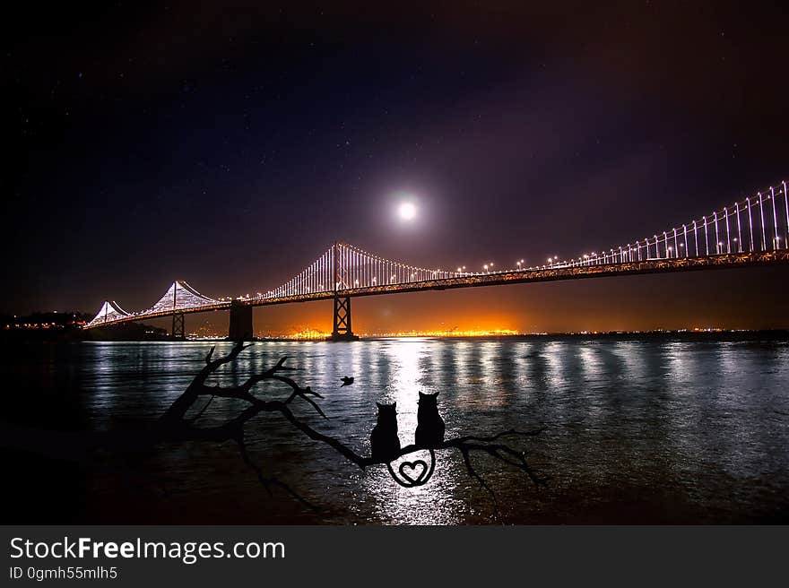 Scenic view of Oakland Bay Bridge illuminated at night with two silhouetted cats in foreground, San Francisco, California, USA. Scenic view of Oakland Bay Bridge illuminated at night with two silhouetted cats in foreground, San Francisco, California, USA.