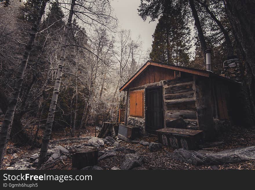 Rustic log cabin in pine tree forest in fog. Rustic log cabin in pine tree forest in fog.