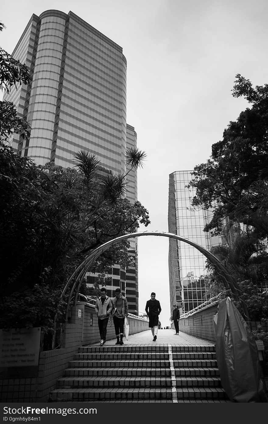 A walkway and a park in downtown with people walking and jogging. A walkway and a park in downtown with people walking and jogging.