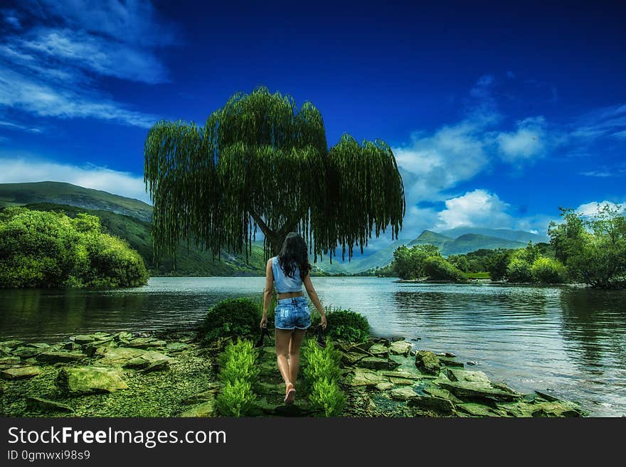 A woman on the shore of a river. A woman on the shore of a river.