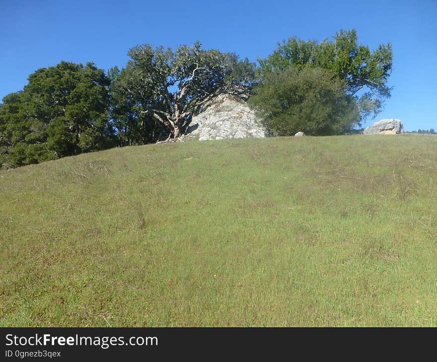 Sky, Plant, Tree, Slope, Natural landscape, Terrain