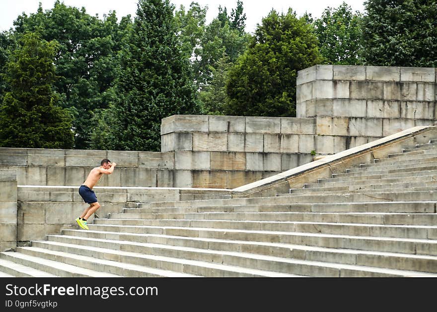 Tree, Stairs, Wood, Leisure, Composite material, Grass