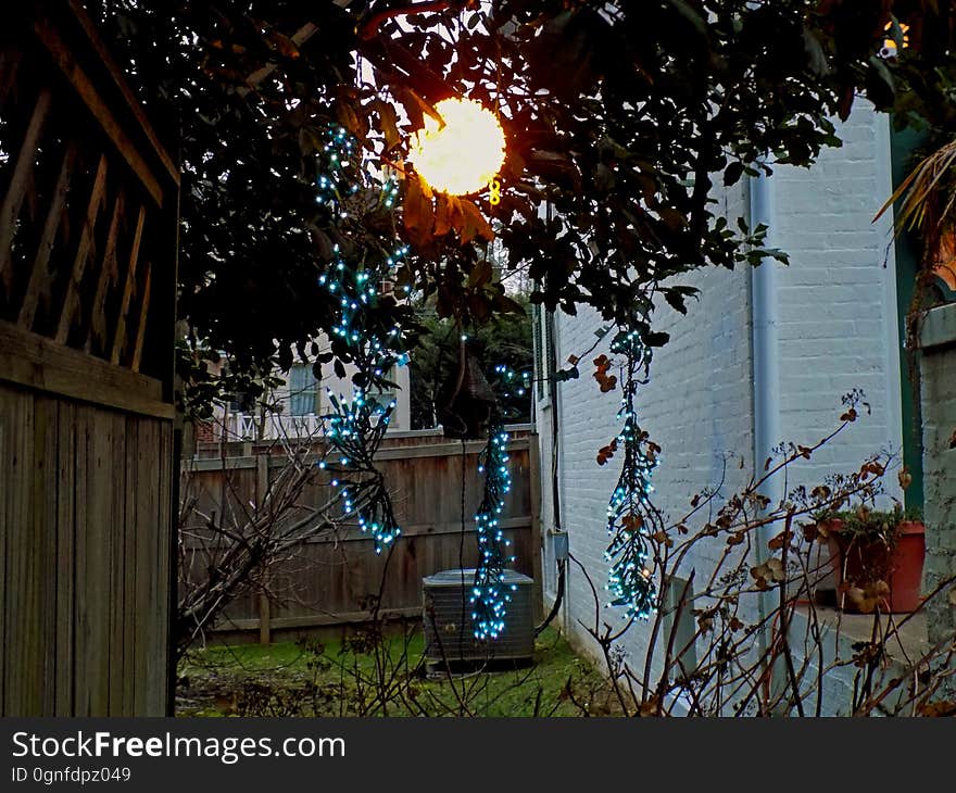 Yard Lights