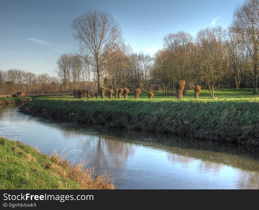 Water, Plant, Sky, Water resources, Leaf, Natural landscape