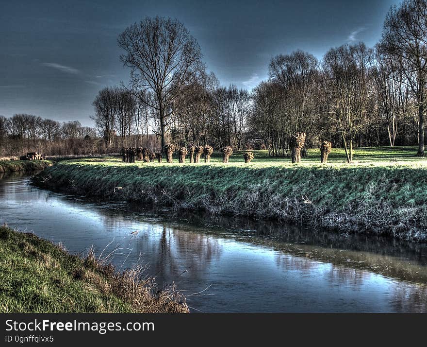 Water, Plant, Water resources, Sky, Natural landscape, Tree