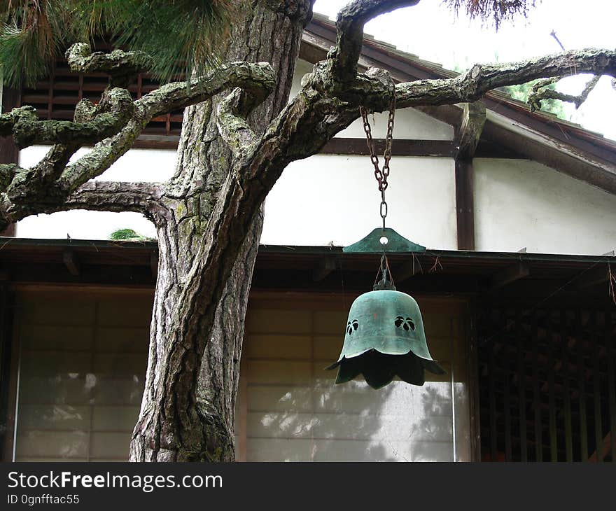 branch with Japanese bell