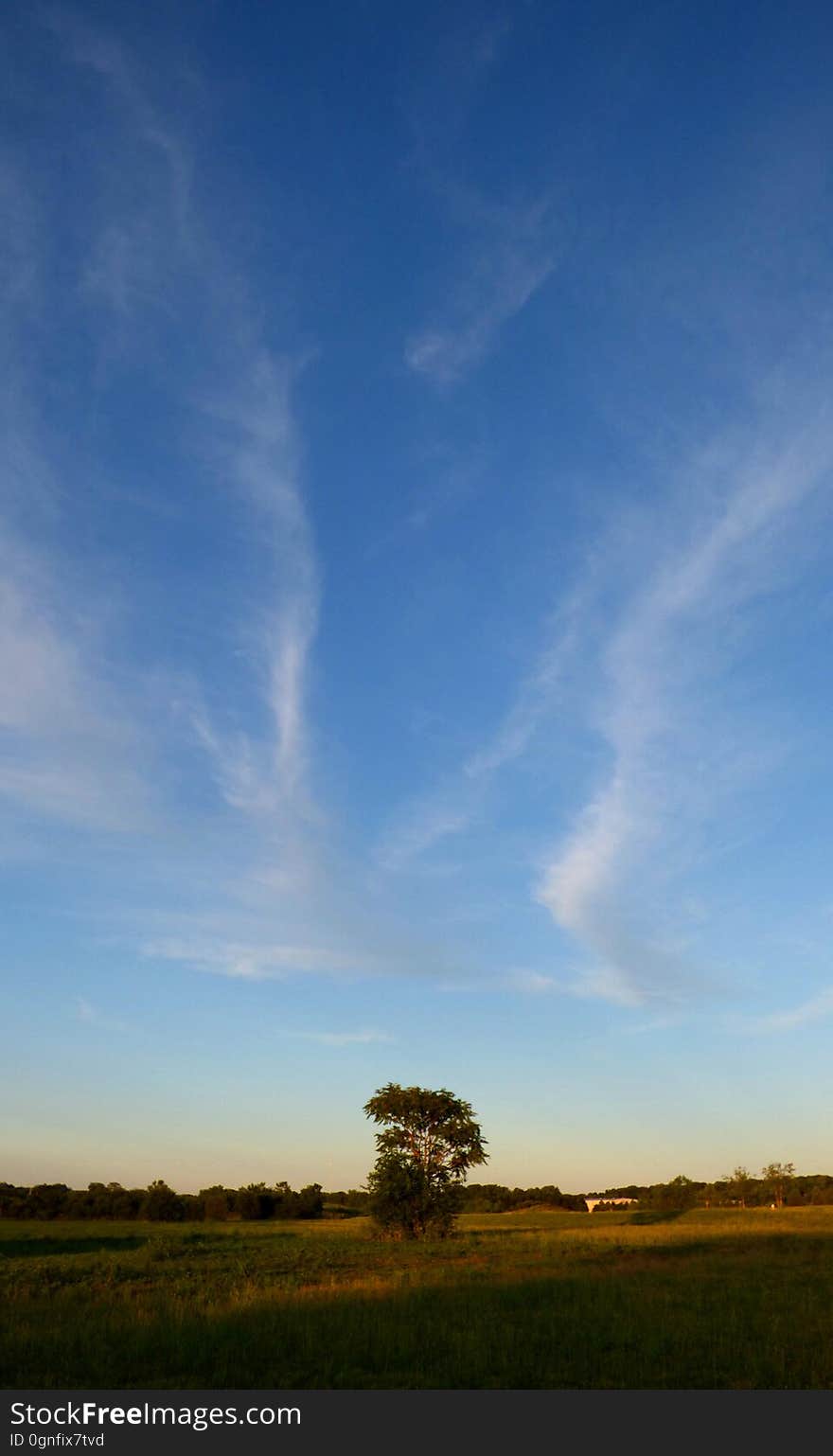 A lone tree stands sentinel over the start of summer. Wispy chemtrails provide some texture in the sky :-/ About my pictures: Since 2014 I&#x27;ve been documenting the daily, destructive, poisonous chemtrail activity in the Dayton, Ohio area -- home of the notorious Wright-Patterson Air Force Base &#x28;visited by every important person on Earth, and even a few Aliens ;-&#x29; -- and apparently from my photo and video documentation, Chemtrail Central. This area has been getting chemtrailed on a massive, daily basis and is being conducted, as they say, “in plain sight”. I&#x27;ve got over 15,000 high-resolution pictures already uploaded and available for free on Flickr, with thousands more on the way: www.flickr.com/photos/133042043@N04/albums Additional Chemtrail videos may be found on: www.youtube.com/user/BlueRidgeParkway I am designating all my chemtrail pictures uploaded to Flickr as CC0 &#x28;Creative Commons Zero&#x29;, which removes my copyright and releases them into the Public Domain. They are archived on Flickr under &quot;Chem Trailchaser&quot;. I hope by making these images widely available, it will accelerate interest, research, study and more documentation from all over the world. Please, download, copy, backup, mirror, share, use and improve as many of these photos as you can! Thanks for looking - Chem. A lone tree stands sentinel over the start of summer. Wispy chemtrails provide some texture in the sky :-/ About my pictures: Since 2014 I&#x27;ve been documenting the daily, destructive, poisonous chemtrail activity in the Dayton, Ohio area -- home of the notorious Wright-Patterson Air Force Base &#x28;visited by every important person on Earth, and even a few Aliens ;-&#x29; -- and apparently from my photo and video documentation, Chemtrail Central. This area has been getting chemtrailed on a massive, daily basis and is being conducted, as they say, “in plain sight”. I&#x27;ve got over 15,000 high-resolution pictures already uploaded and available for free on Flickr, with thousands more on the way: www.flickr.com/photos/133042043@N04/albums Additional Chemtrail videos may be found on: www.youtube.com/user/BlueRidgeParkway I am designating all my chemtrail pictures uploaded to Flickr as CC0 &#x28;Creative Commons Zero&#x29;, which removes my copyright and releases them into the Public Domain. They are archived on Flickr under &quot;Chem Trailchaser&quot;. I hope by making these images widely available, it will accelerate interest, research, study and more documentation from all over the world. Please, download, copy, backup, mirror, share, use and improve as many of these photos as you can! Thanks for looking - Chem