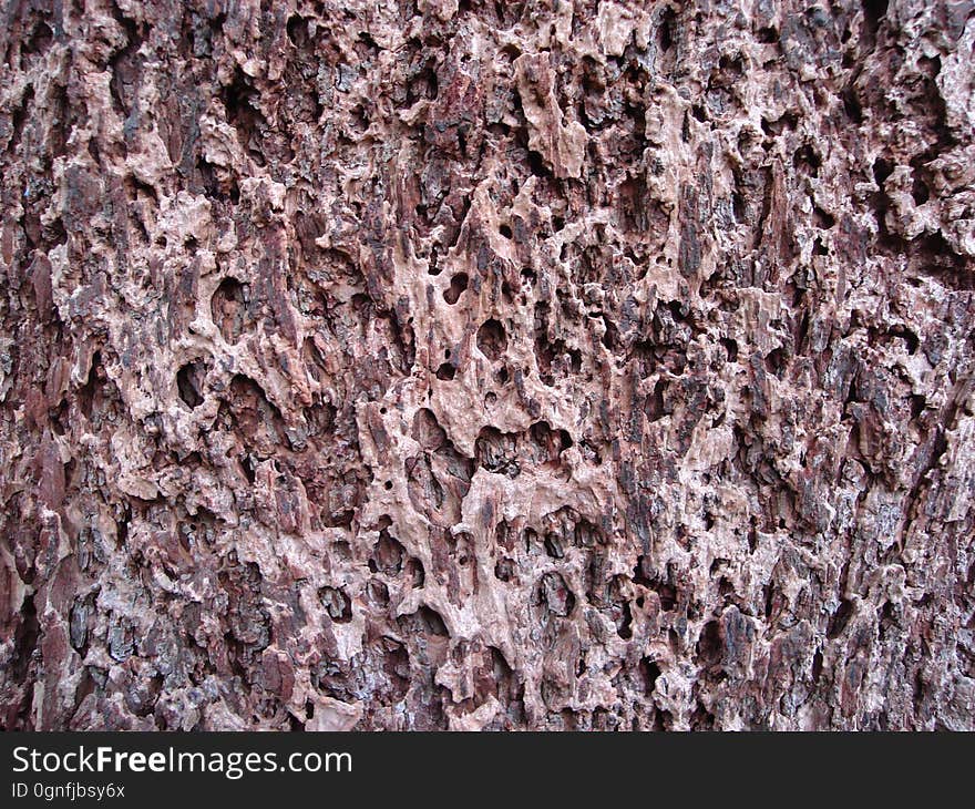 Brown, Pattern, Natural material, Metal, Wood, Rock