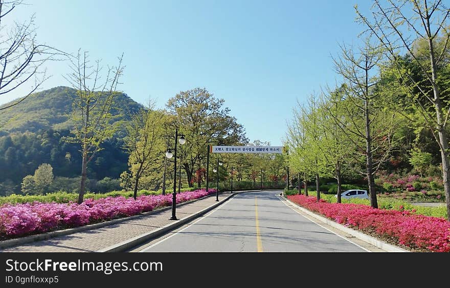 azalea　철쭉　ツツジ View from the 천주청평수련원 天宙清平修錬苑 Cheongpyeong Heaven and Earth Training Center - - - - - - - - - - 참父母님 文鮮明♡韓鶴子 - - - - - - - - - - True Parents&#x27; Seorak 2017 on flickr Instagram. azalea　철쭉　ツツジ View from the 천주청평수련원 天宙清平修錬苑 Cheongpyeong Heaven and Earth Training Center - - - - - - - - - - 참父母님 文鮮明♡韓鶴子 - - - - - - - - - - True Parents&#x27; Seorak 2017 on flickr Instagram