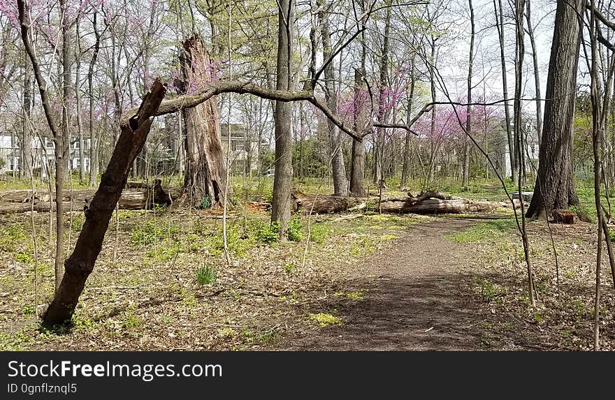 Upper Arlington, Ohio. Upper Arlington, Ohio