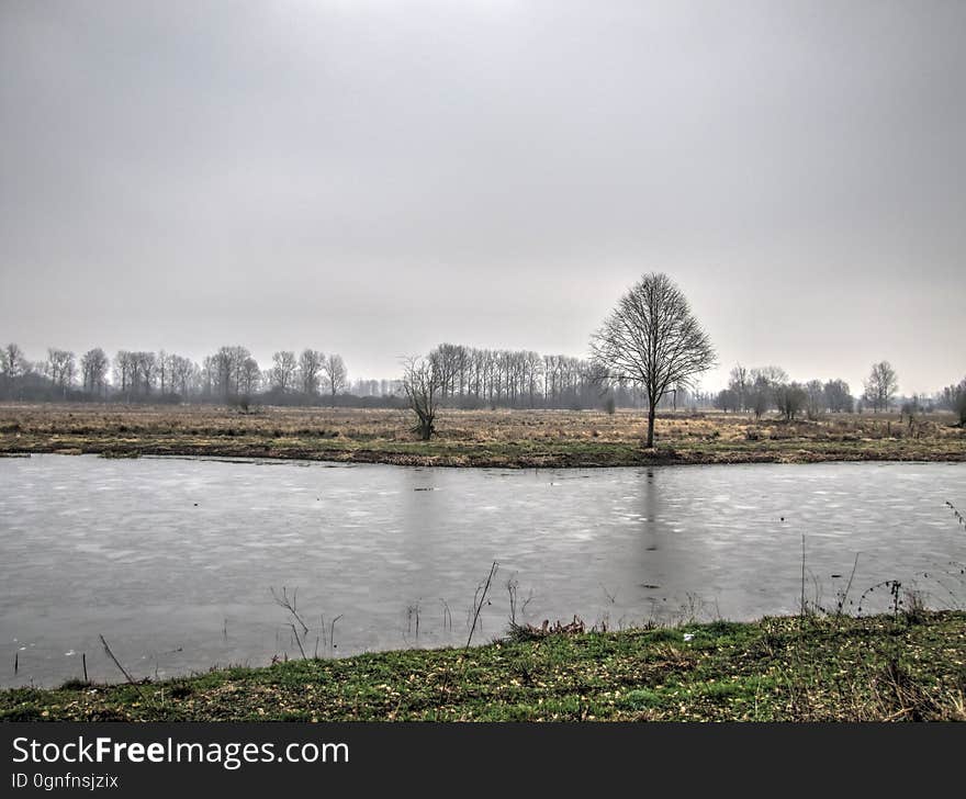 Water, Sky, Plant, Cloud, Water resources, Natural landscape