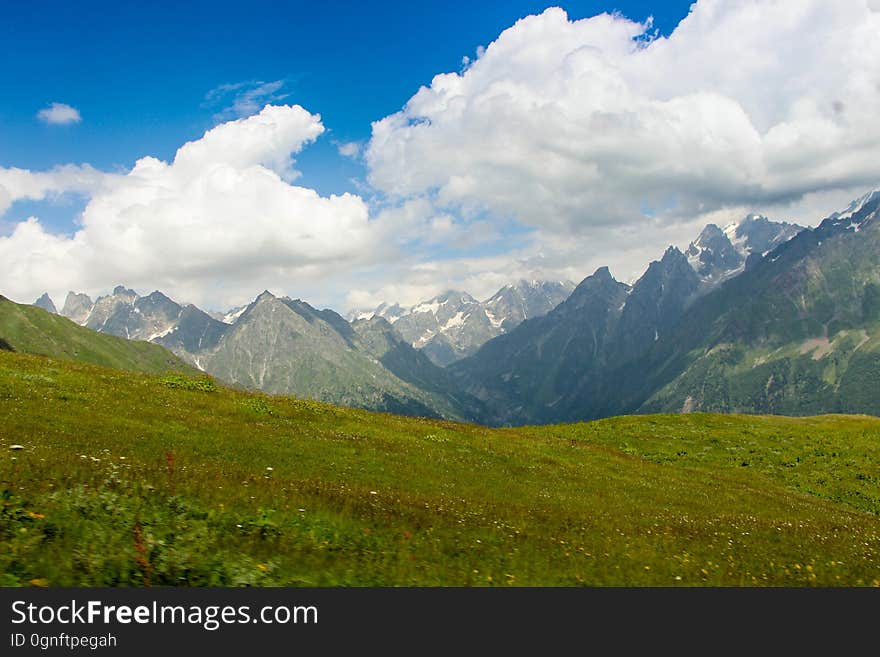 A beautiful meadow leading up to Alpine mountains.