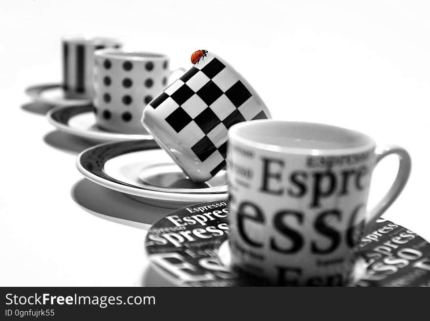 Four White and Black Printed Teacup on a Round Ceramic Saucer