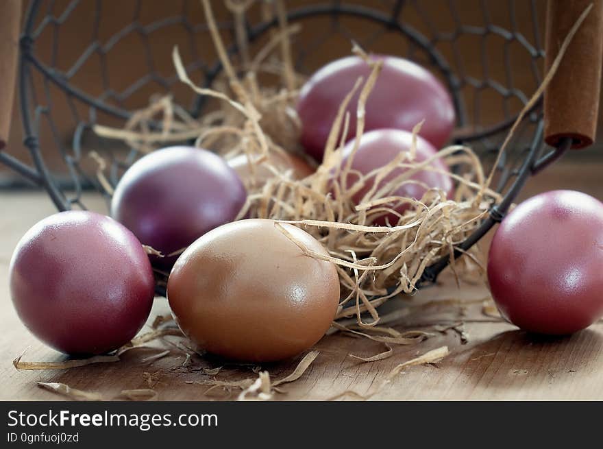 Egg, Easter Egg, Still Life Photography