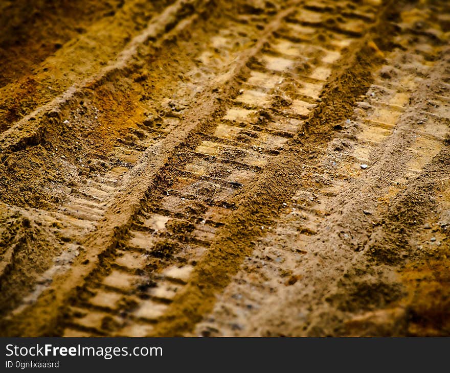 Soil, Wood, Close Up, Texture