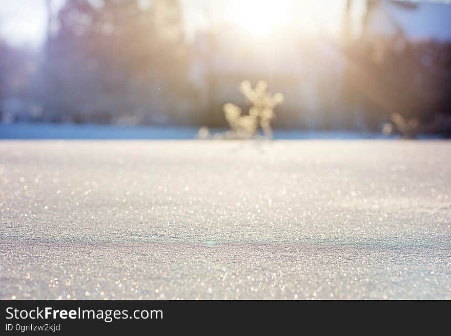 Sky, Freezing, Winter, Sunlight