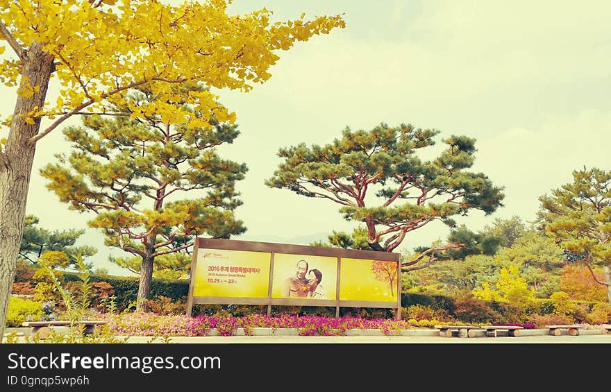 Location 천주청평수련원 天宙清平修錬苑 Cheongpyeong Heaven and Earth Training Center - - - - - - - - - - 참父母님 文鮮明♡韓鶴子 - - - - - - - - - - True Parents&#x27; Seorak 2017 on flickr Instagram. Location 천주청평수련원 天宙清平修錬苑 Cheongpyeong Heaven and Earth Training Center - - - - - - - - - - 참父母님 文鮮明♡韓鶴子 - - - - - - - - - - True Parents&#x27; Seorak 2017 on flickr Instagram