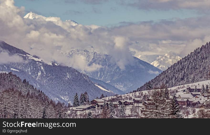 Snow covered landscape with pine tree forest in Switzerland Alps. Snow covered landscape with pine tree forest in Switzerland Alps.