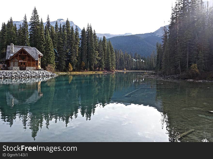 Reflection of Trees in Lake