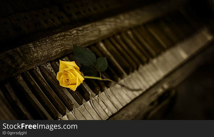 Piano, Yellow, Keyboard, Darkness